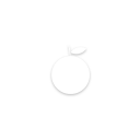 fruit-orange-overlay_01m5jbwrxn6fr70936fha32hpv