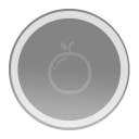 fruit-orange_01m5jb1h3b6x86xqs94gw8m26e