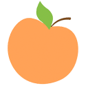fruit-orange_01m5jb3pd7m8fewgwmfybfg0th