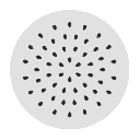 fruit-orange_01m5jbd4226pnnvnhmnjjz16fp