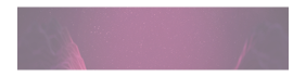 button_01m5jbdysccgbk6hcm1cgq4axd