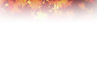 inputoverlay-background_01m5jb5cmkth8a0268retsjmx1