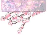 inputoverlay-background_01m5jbjtkdhcasw3r95pcr0sh1