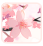 inputoverlay-key_01m5jb2xxyeg6213cp87nej6r5