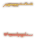 inputoverlay-key_01m5jb895q0q2rzgc6h8tev2x3