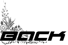menu-back_01m5jbgmv3jk24r8sqkt6xqy61