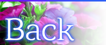 menu-back_01m5jbmn2f3hkmqgc1d5k9rtjg