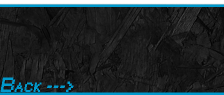 menu-back_01m5jbnscmxej7c6h9hzhm103b