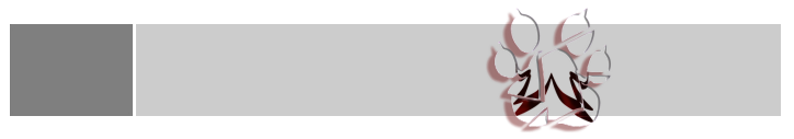 menu-button-background_01m5jbfbkbrh7t925qjn4stvnt