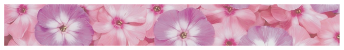 menu-button-background_01m5jbmn2sfgqm6nsq6qs1gsj9