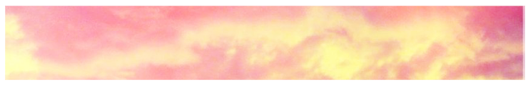 menu-button-background_01m5jbvyvv5vfpgz4phy0zsdc4
