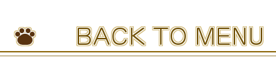 pause-back_01m5jb78vfmm9wvrc3738zd5k7
