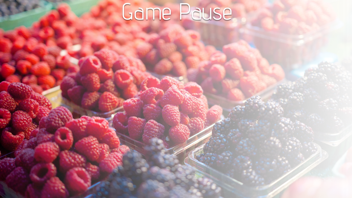 pause-overlay_01m5jbsx22jbcp14cbjyjjp2tc