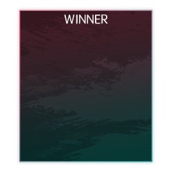ranking-winner_01m5jb7gf7ax4s9wdcs5renw65