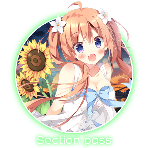 section-pass_01m5jb42k0sp2cgz1etne39fn6