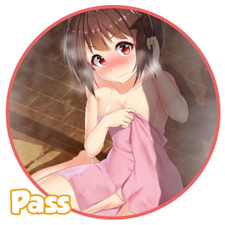 section-pass_01m5jbnfw1zz4q8v6hp10rw4r7