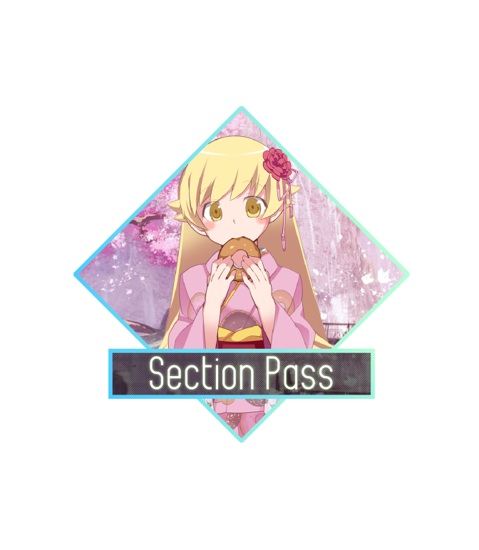 section-pass_01m5jbxvhqdv8c6fby2s6kc69c