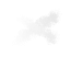 star_01m5jb4tehxfcp102fsxqtns2h
