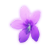 star_01m5jcdmg0n6y5r2kxx98adt8h