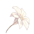 star_01m5jcgay6j752q9thkwrmh4b9