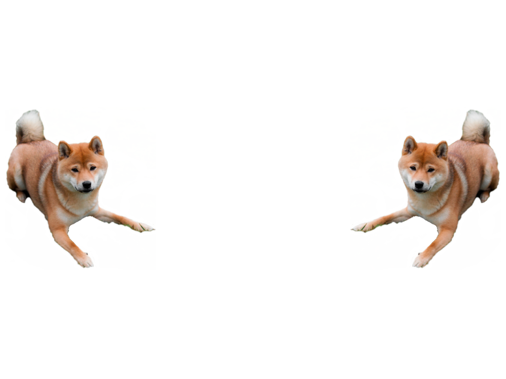 spinner-background_01m5jbhhw40ze6drbtck46ar7y