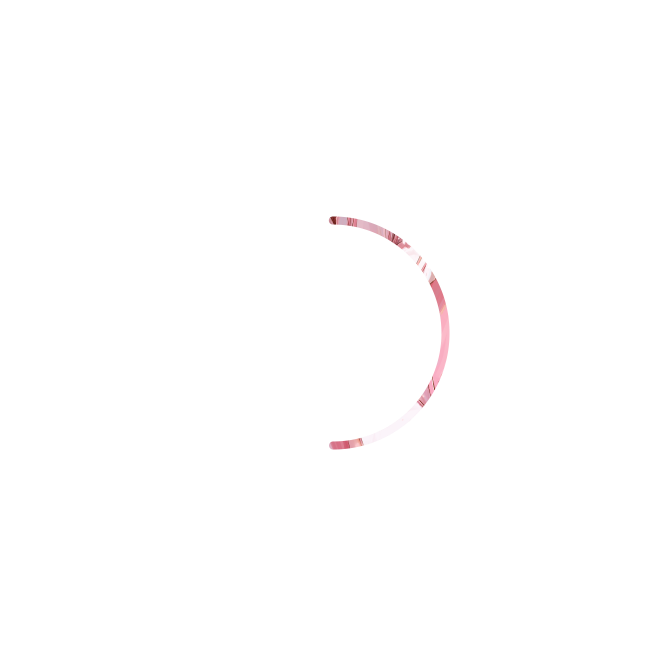 spinner-circle_01m5jb2yds0ctk1vpnxrgt3zb4