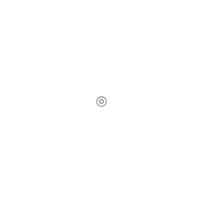 spinner-circle_01m5jb464c49nw1maszjnhpsme