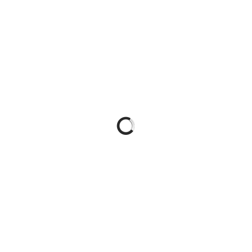 spinner-circle_01m5jbe5js474xgv3fbfv2er3x