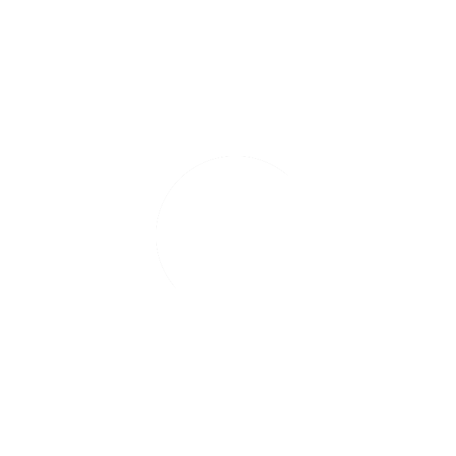 spinner-circle_01m5jbmpwxzryz47a4gdg9rv0j