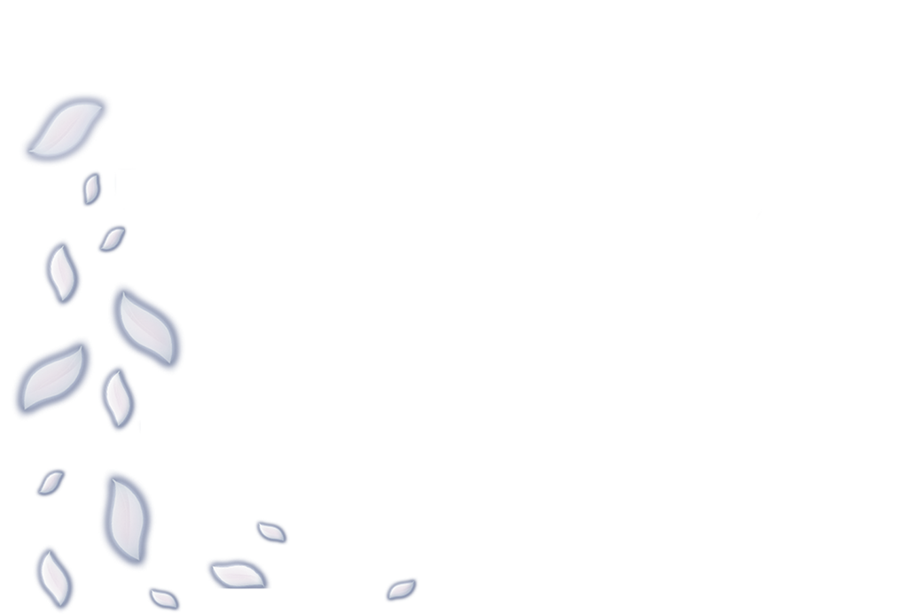 spinner-metre_01m5jb35d9scb4981jq0bx93kc