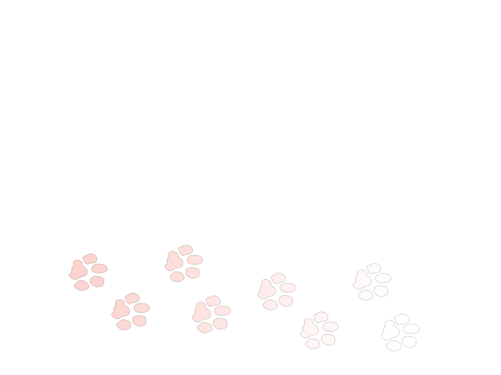 spinner-metre_01m5jb92rjehdqtwzzt42553jq