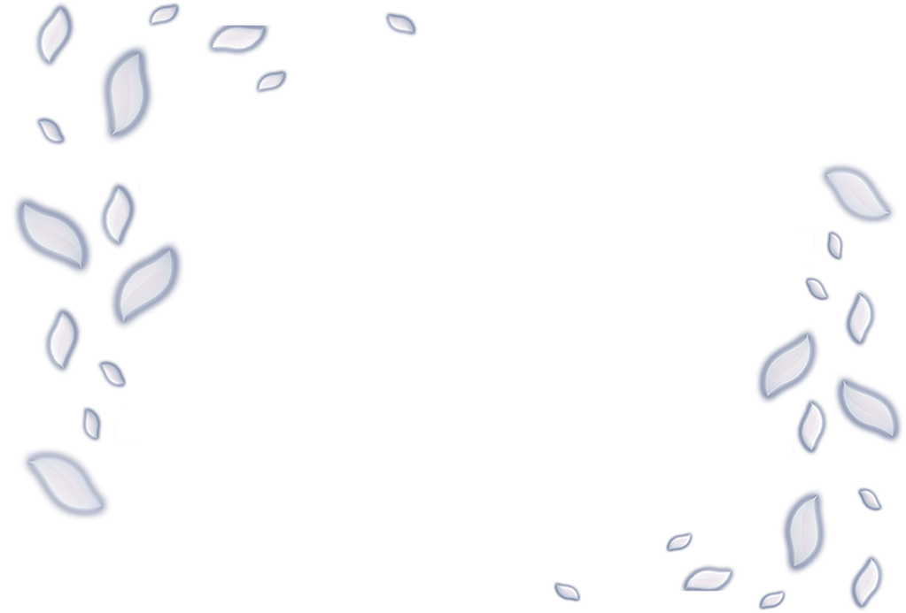 spinner-metre_01m5jc5yr23678a768g3t515wj