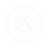 taikobigcircleoverlay_01m5jc8ec6p6dzfc8xggk2j040