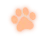star_01m5jc8eafy903b8wwe4cpfqac